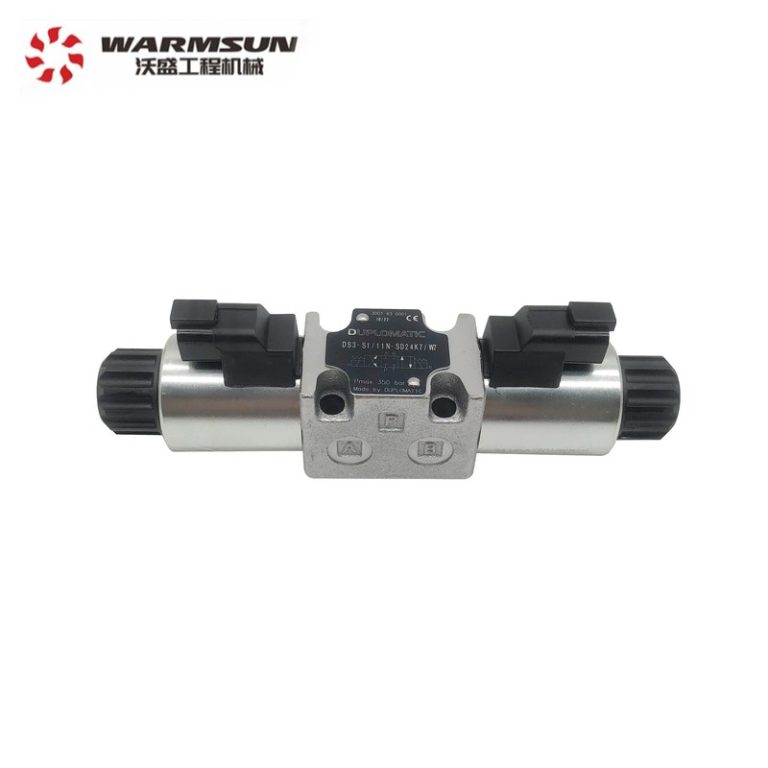 DS3-S10/11V-D24K7 Solenoid Valve photo 2